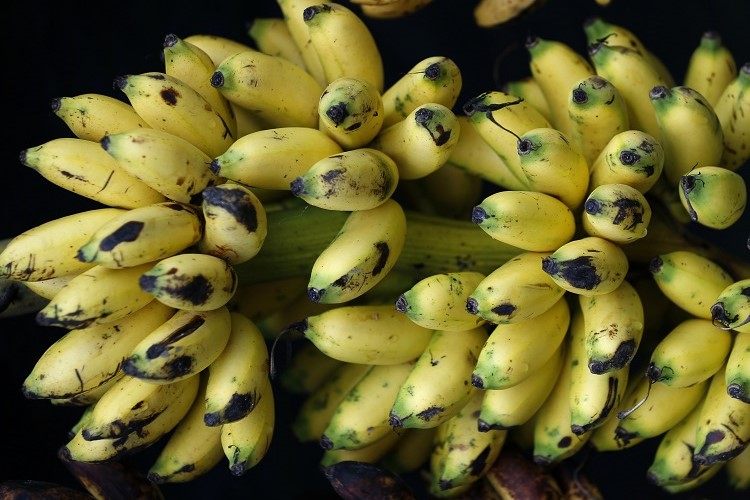 banane douce conakry