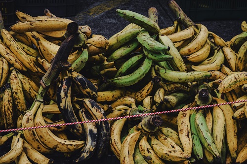 banane plantain mures