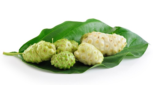 fruit de noni chez germeo