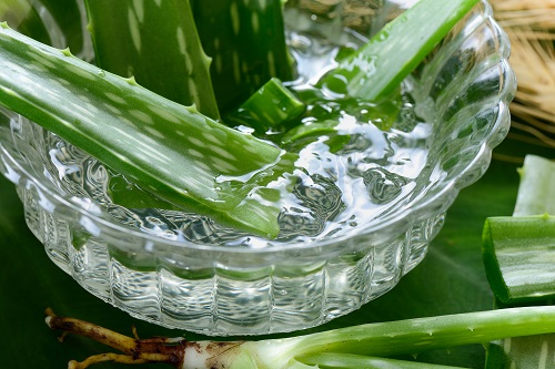 gel d'aloe vera