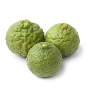 pepiniere de citron combava