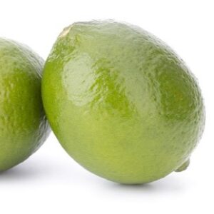 Pepiniere de citron lime mexicaine