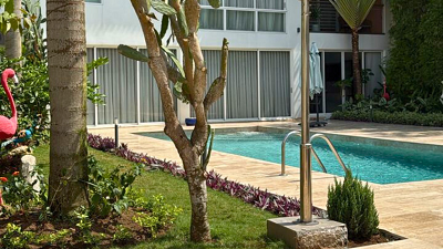 planting de plantes ornementales par germeo