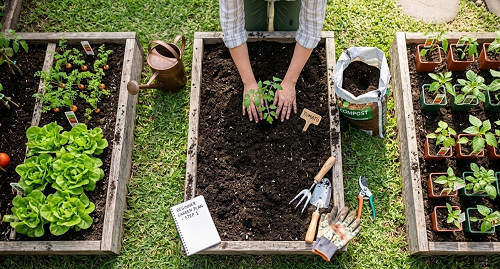 créer un potager étape par étape
