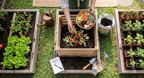 les bases du compost maison