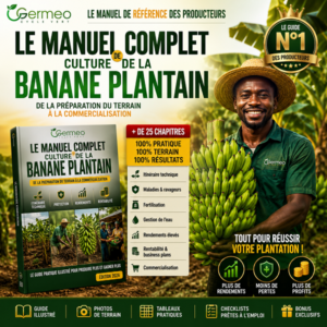 guide banane plantain