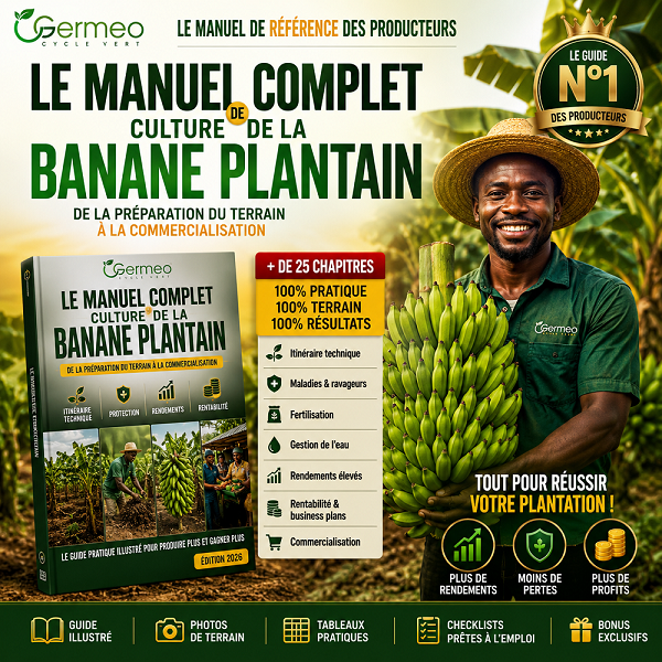 guide banane plantain