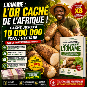 igname