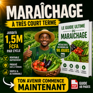 maraichage